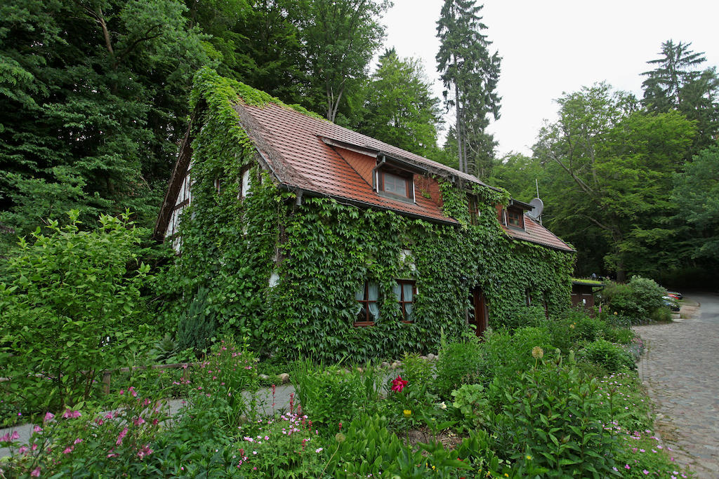 Guhlen Glienicke Hotel Boltenmuehle חדר תמונה