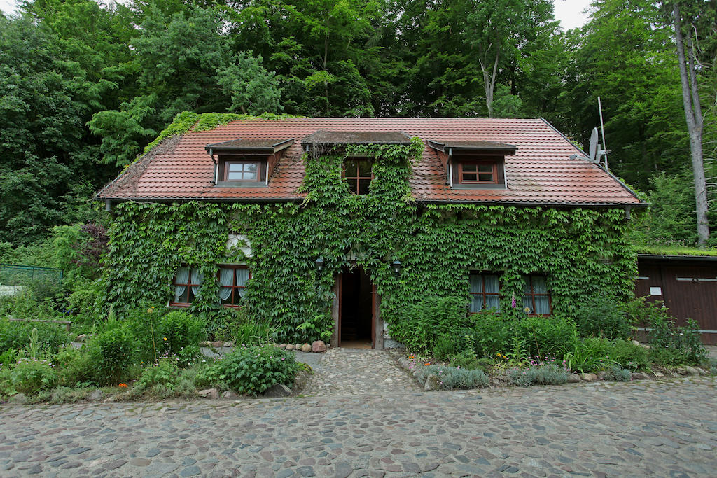 Guhlen Glienicke Hotel Boltenmuehle חדר תמונה